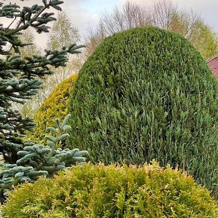 Dom Nad Jeziorem,Opcja Balii,Duzy Ogrodzony Ogrod, Idealne Mieksce Na Grzyby,Wedrowki,Kaszuby Nowe Czaple Nowe Czaple  Exterior foto